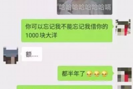 龙泉驿专业讨债公司有哪些核心服务？